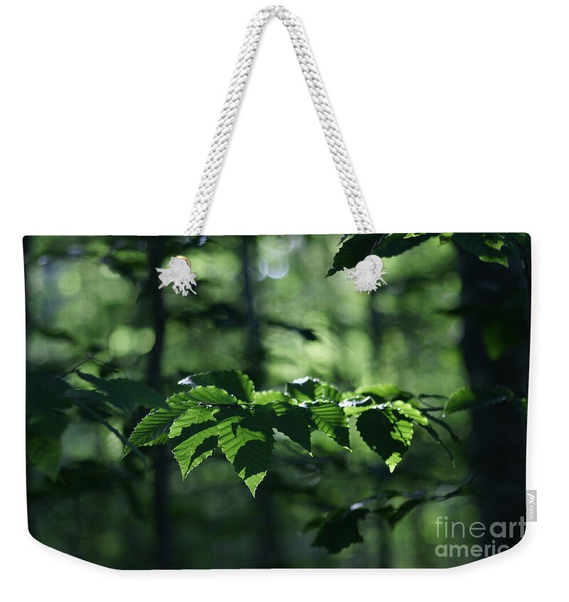 Woods Weekender Tote Bag featuring the photograph Never Far From My Thoughts by Linda Shafer
