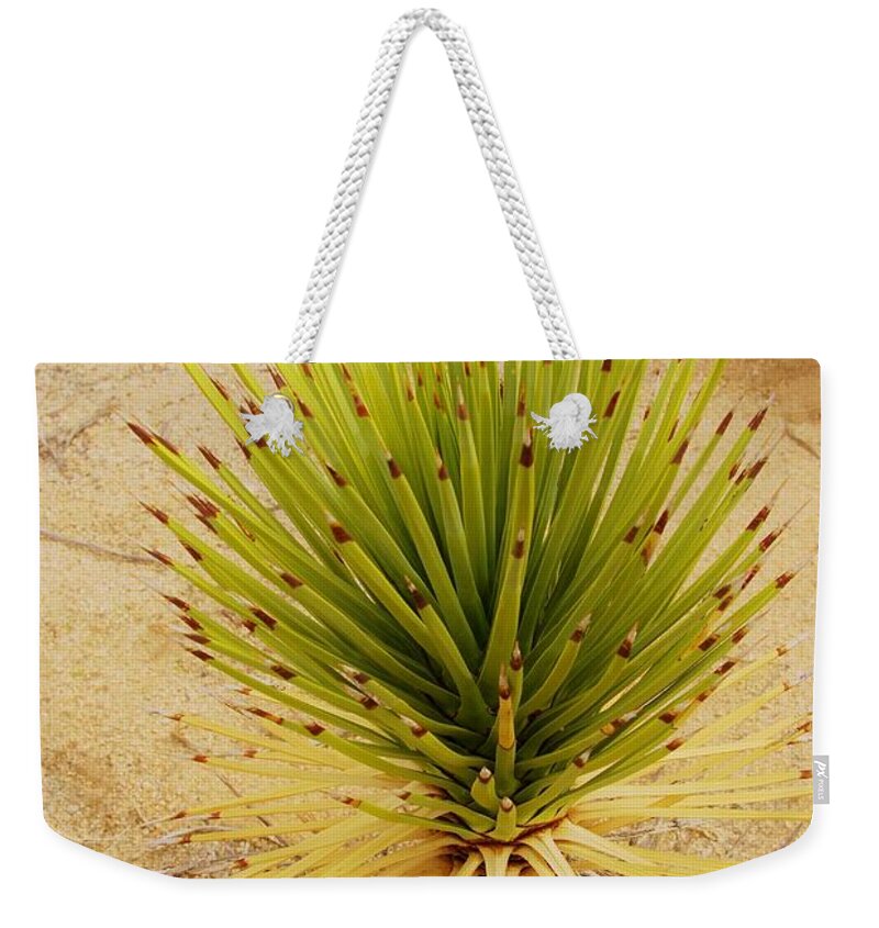 Yucca Brevifolia Weekender Tote Bag featuring the photograph NeW BeGiNNiNG  by Angela J Wright