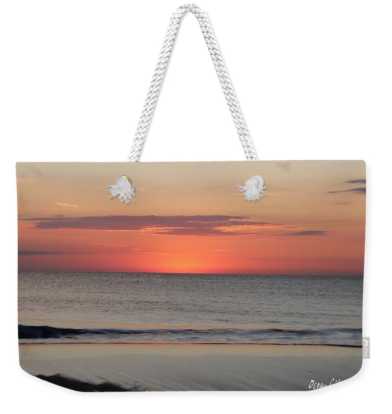 Fauna Weekender Tote Bag featuring the photograph New Day Coming by Robert Banach