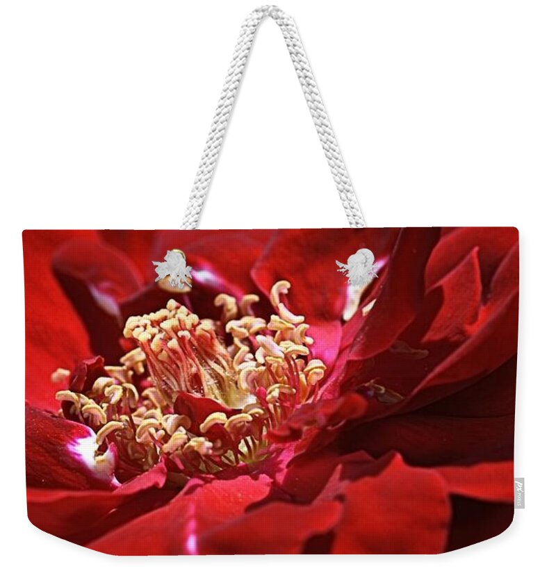 Rose Weekender Tote Bag featuring the photograph New Dream by Joy Watson