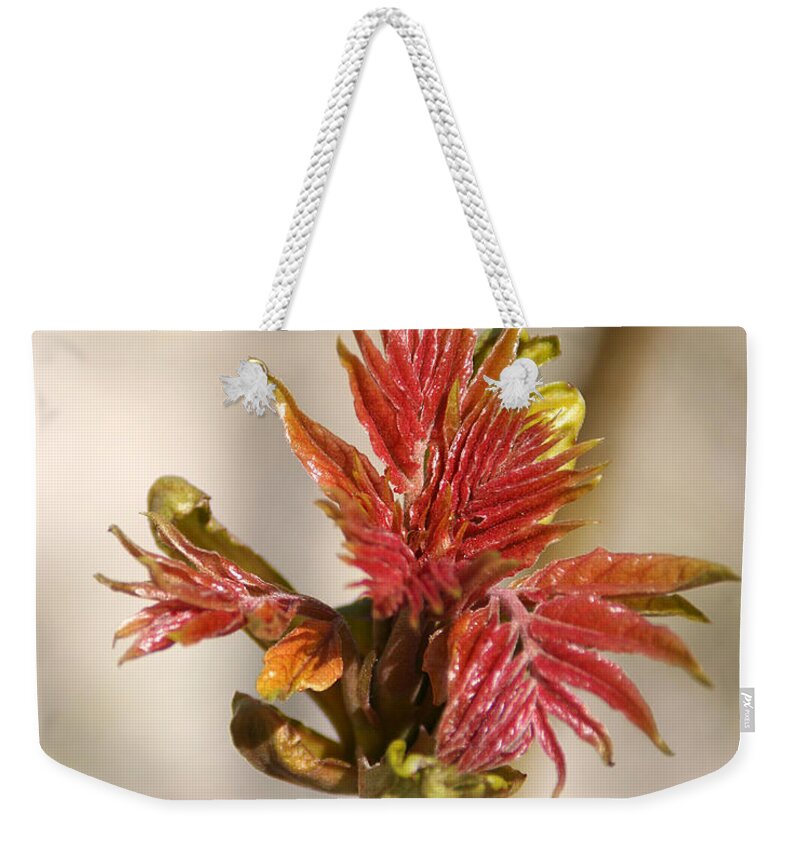 Sumac Weekender Tote Bag featuring the photograph New Growth by William Selander