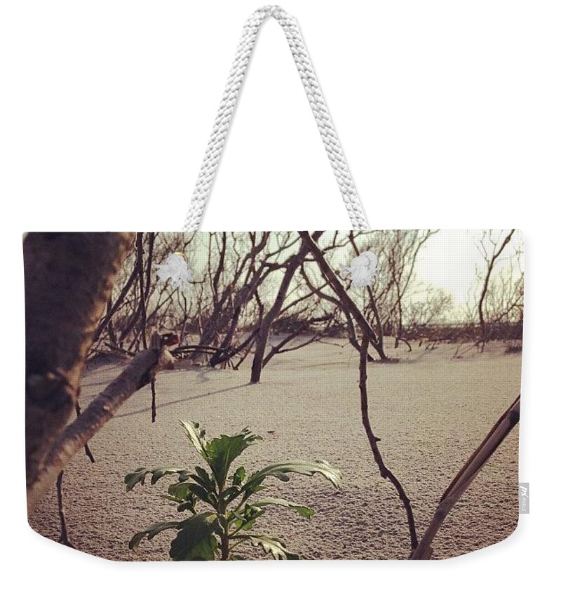 New Weekender Tote Bag featuring the photograph New by Katie Cupcakes