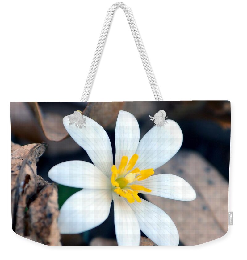 Flower Weekender Tote Bag featuring the photograph New Life by Deena Stoddard