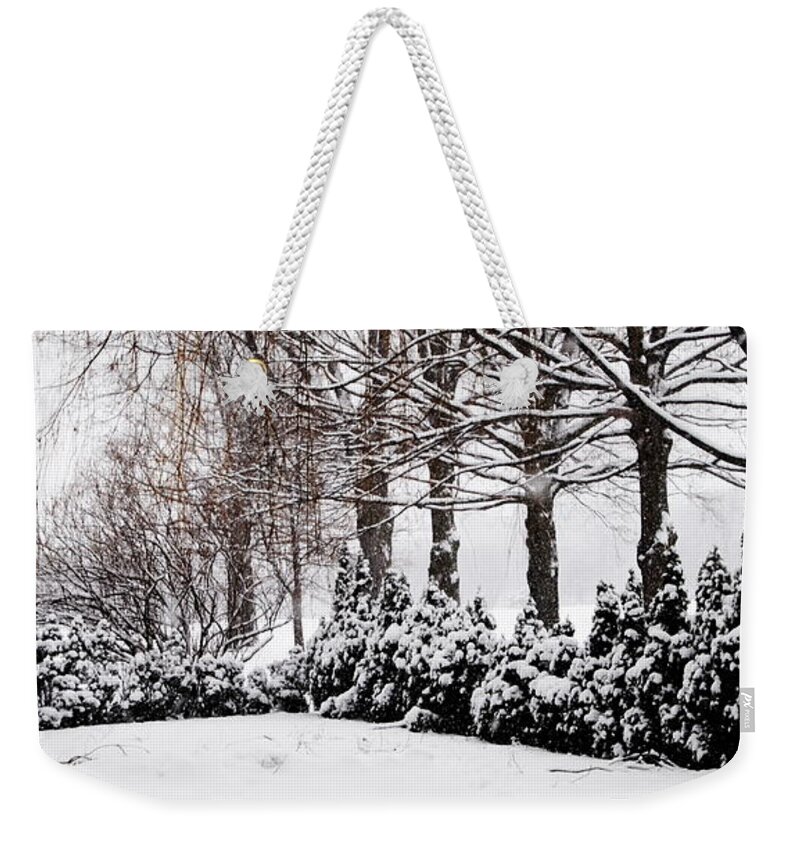 Inspirational Art Weekender Tote Bag featuring the photograph New Snow - Evergreens by Jacqueline M Lewis