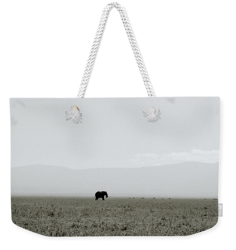Elephant Weekender Tote Bag featuring the photograph Ngorongoro Crater by Shaun Higson
