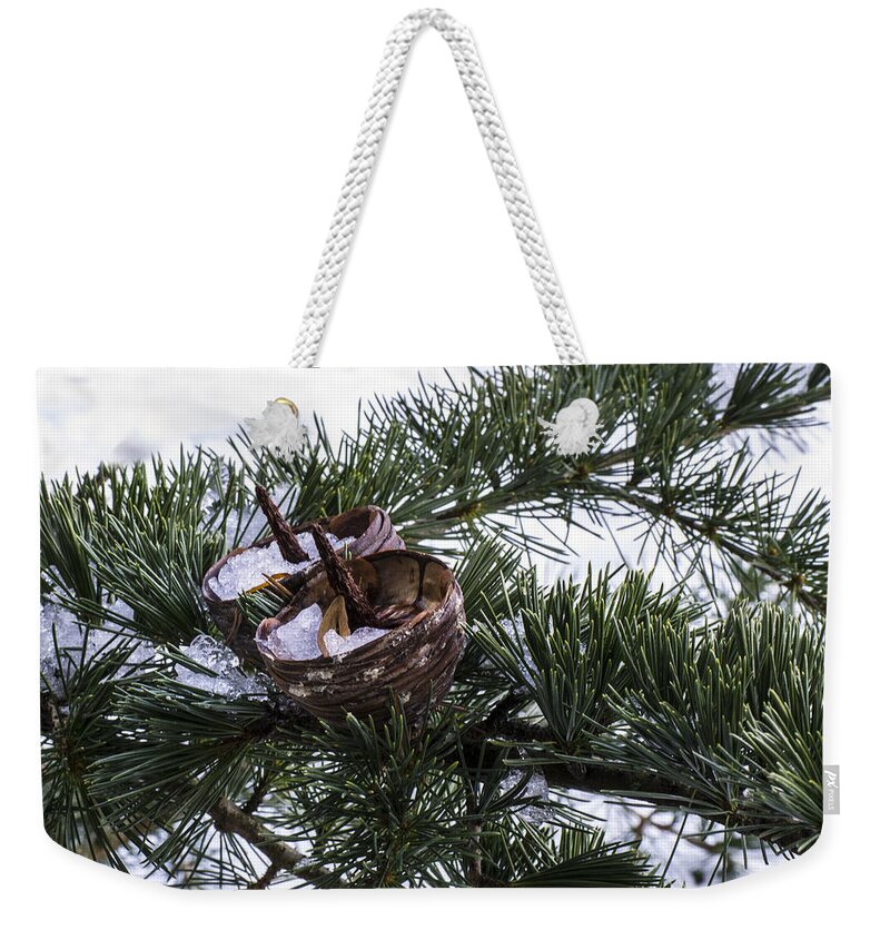 Fir Weekender Tote Bag featuring the photograph Nibbled by Spikey Mouse Photography