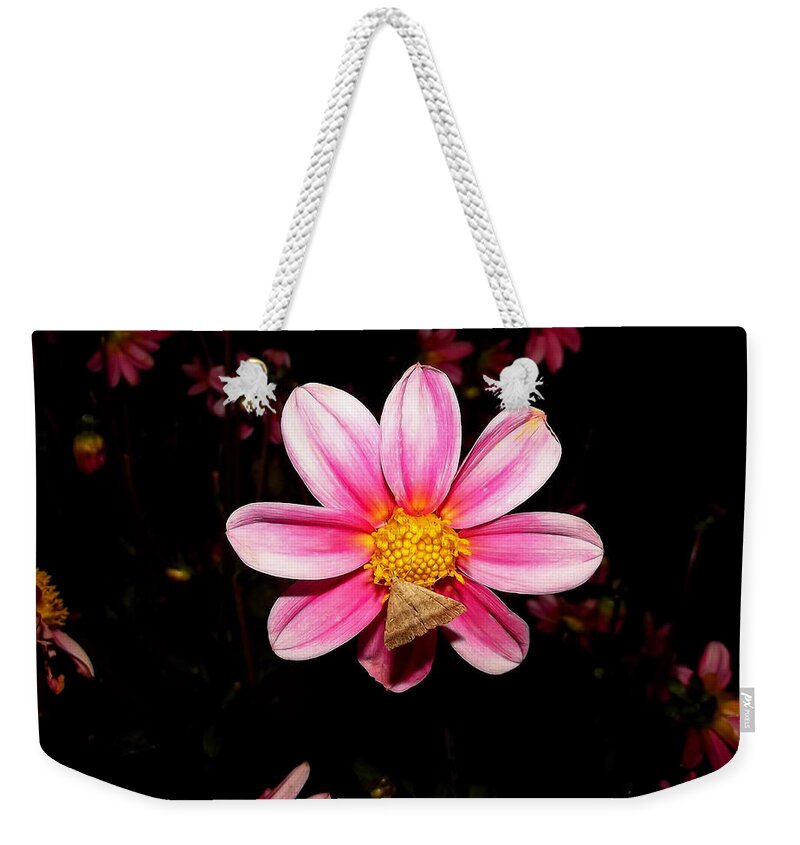 Floral Weekender Tote Bag featuring the photograph Nighttime Visitor by Harold Zimmer