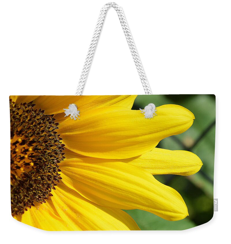 Nature Weekender Tote Bag featuring the photograph Sunflower by Felicia Tica