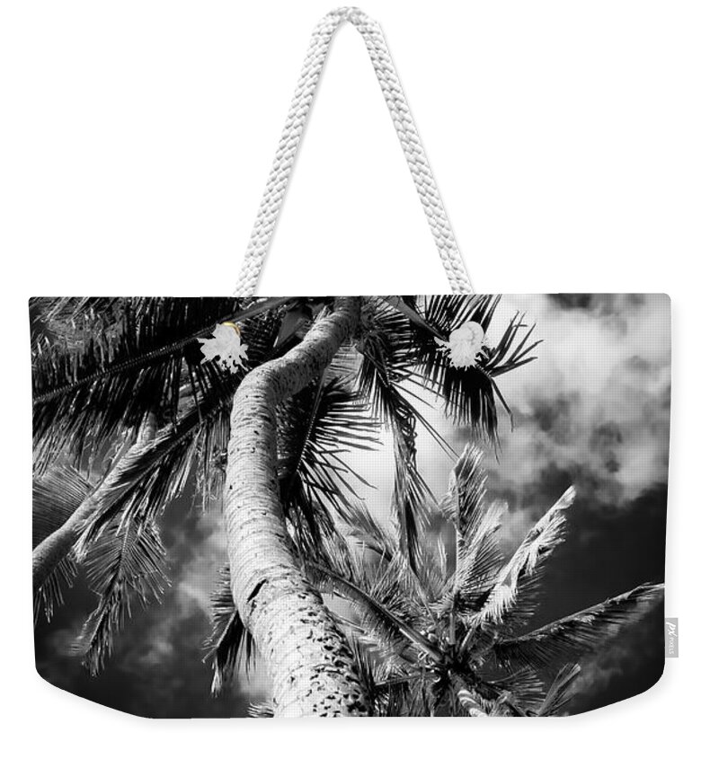 Coconut Poetry Weekender Tote Bag featuring the photograph Niu - Hoaloha Beach Coconut Palm by Sharon Mau
