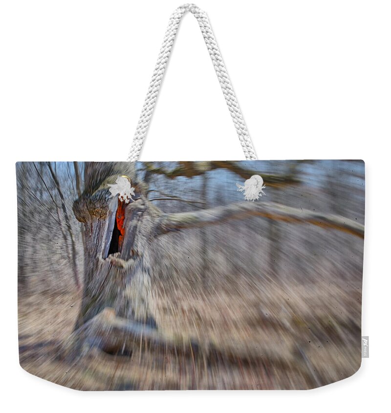 Grant Woods Weekender Tote Bag featuring the photograph No Escape by Jim Shackett