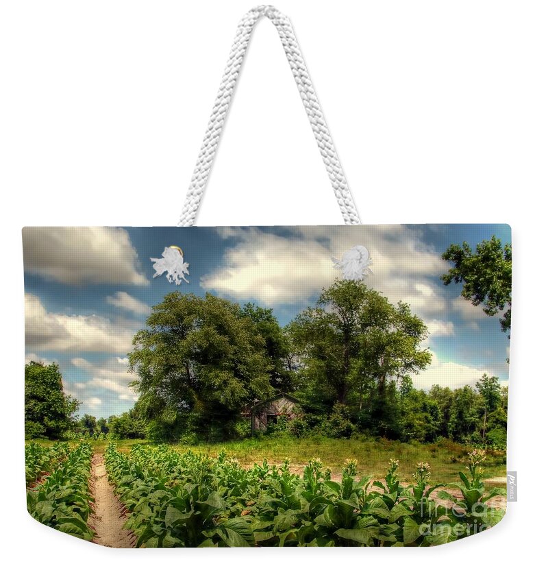 Tobacco Weekender Tote Bag featuring the photograph North Carolina Tobacco Farm by Benanne Stiens