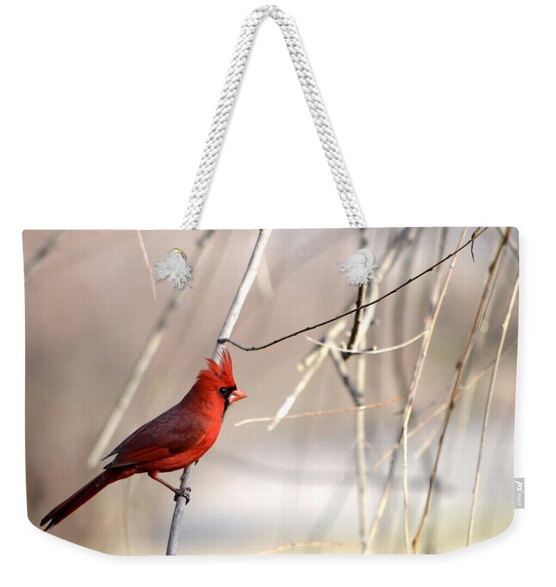 Cardinal Weekender Tote Bag featuring the photograph Northern Cardinal II by Deena Stoddard