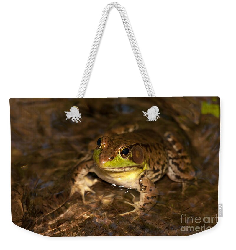 Clarence Holmes Weekender Tote Bag featuring the photograph Northern Green Frog by Clarence Holmes