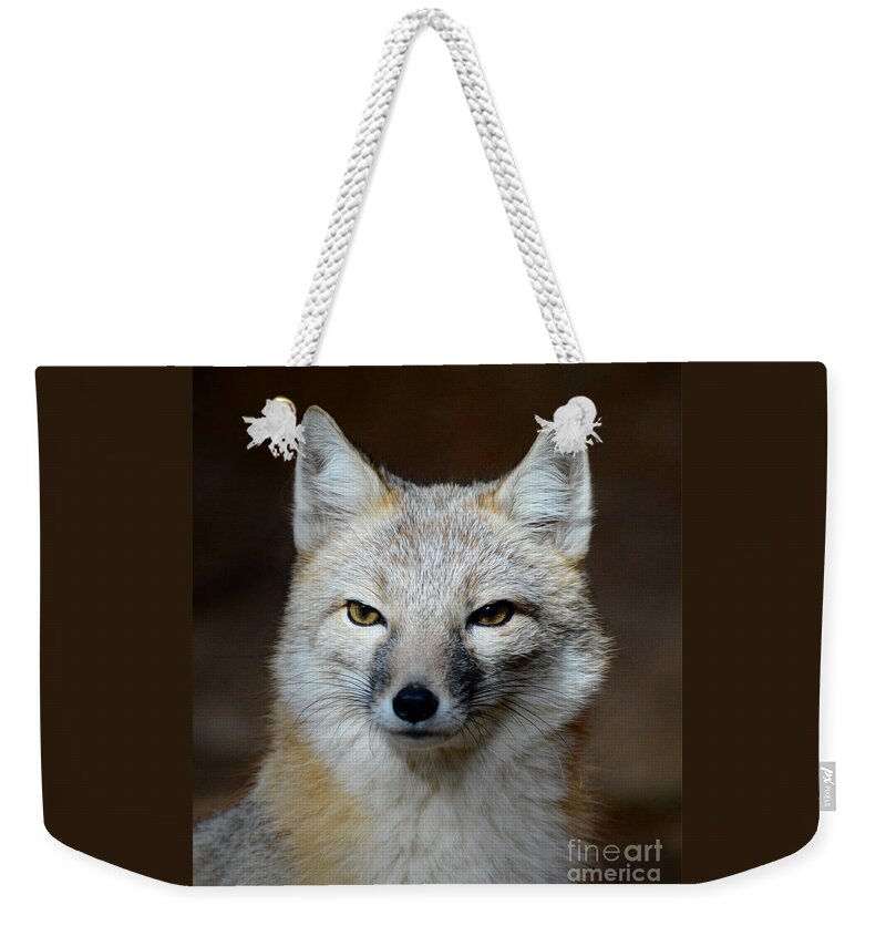 Northern Swift Fox Weekender Tote Bag featuring the photograph Northern Swift Fox by Savannah Gibbs