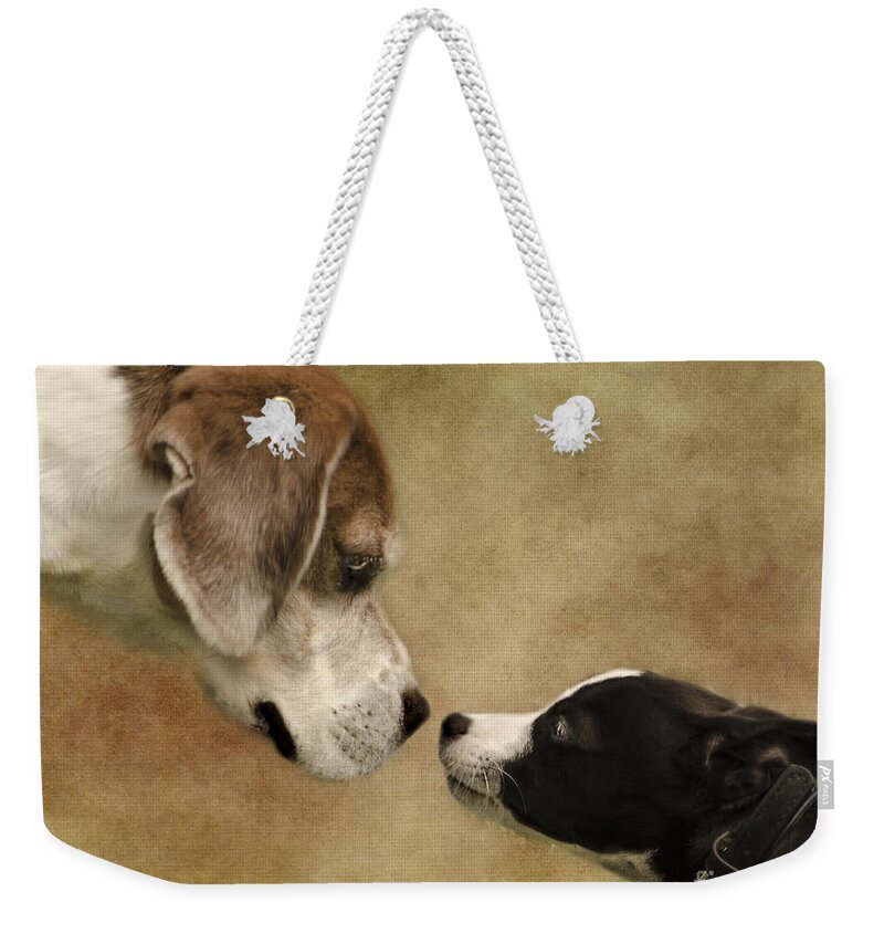 Dog Weekender Tote Bag featuring the photograph Nose To Nose Dogs by Linsey Williams