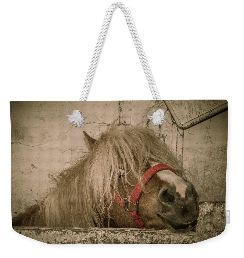 Horse Weekender Tote Bag featuring the photograph Not So Innocent by Bianca Nadeau