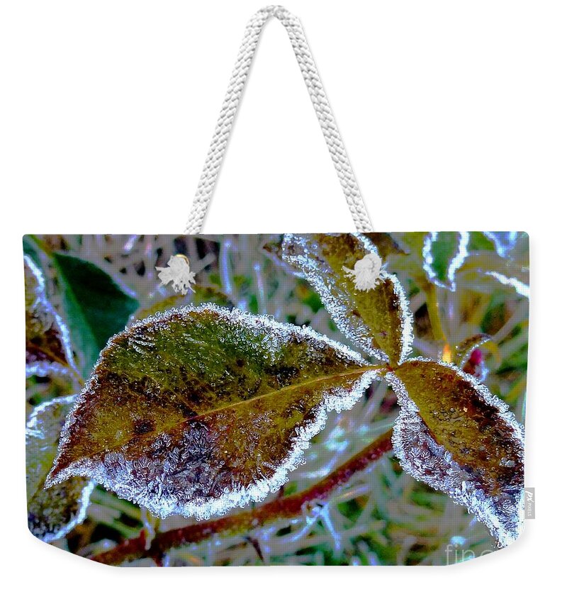 Leaves Weekender Tote Bag featuring the photograph November_ Last Walz by Amalia Suruceanu