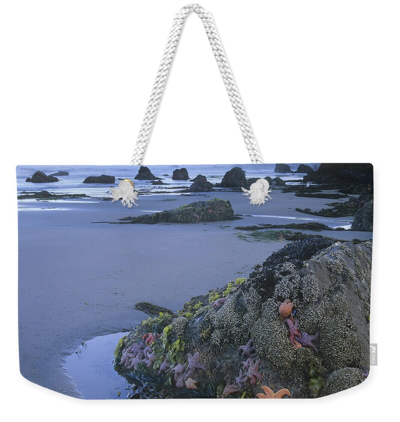Feb0514 Weekender Tote Bag featuring the photograph Ochre Sea Stars At Low Tide Miwok Beach by Tim Fitzharris