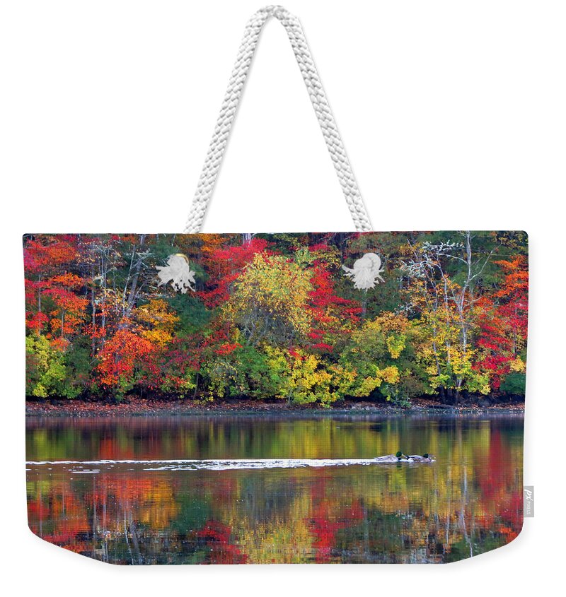 Trees Weekender Tote Bag featuring the photograph October's Colors by Dianne Cowen Cape Cod Photography