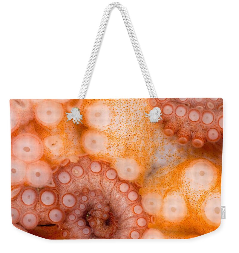 Octopus Rubescens Weekender Tote Bag featuring the photograph Octopus Suction Cups by Stuart Wilson