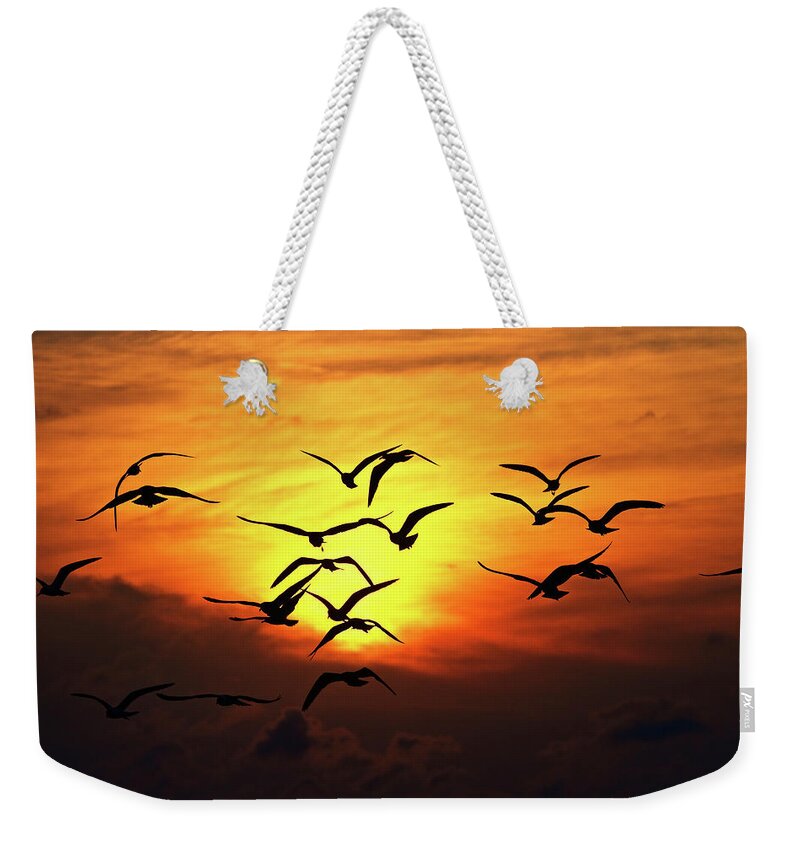 Animal Themes Weekender Tote Bag featuring the photograph Ode To Birds by Work By Zach Dischner
