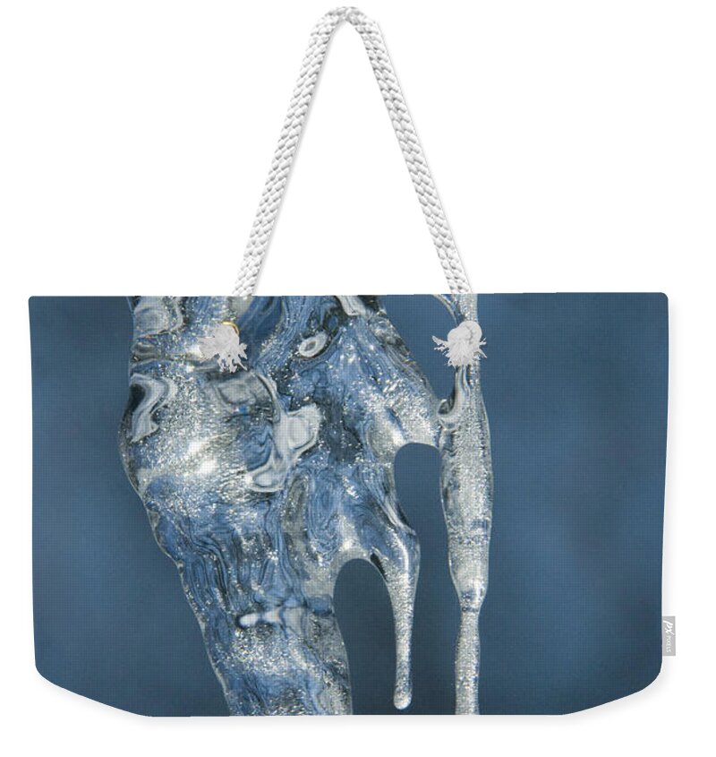 Icicles Weekender Tote Bag featuring the photograph Offspring by Sandra Bronstein