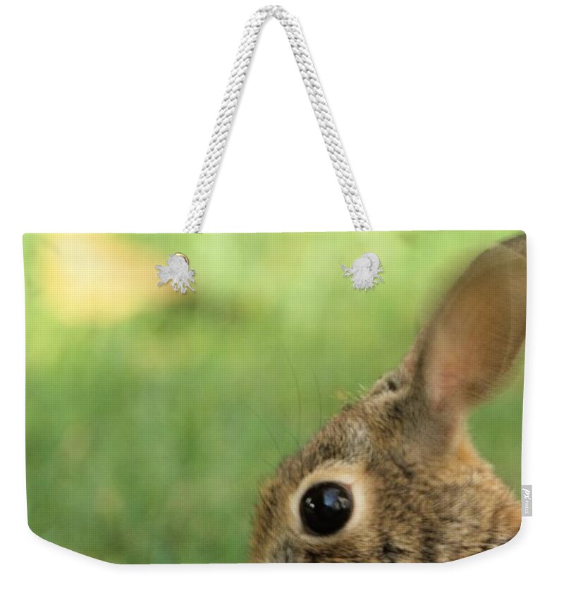Bunny Weekender Tote Bag featuring the photograph Oh My Easter is Almost Here by John Harmon