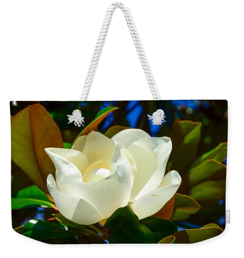 Magnolia Weekender Tote Bag featuring the photograph Oh Sweet Magnolia by Debra Martz