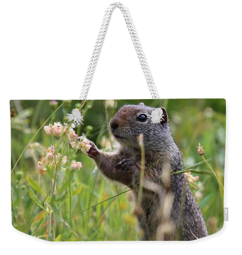 Squirrel Weekender Tote Bag featuring the photograph Oh These Are Pretty by Marty Fancy