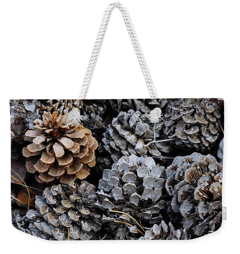 Pinecones Weekender Tote Bag featuring the photograph Old Pinecones by Kae Cheatham