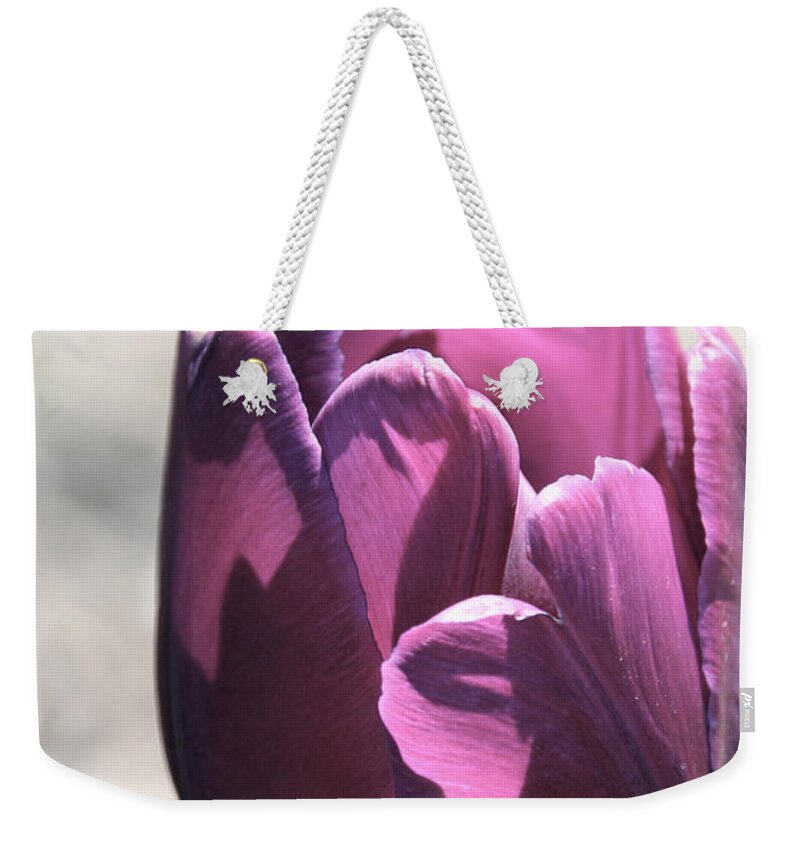 Flower Weekender Tote Bag featuring the photograph Old Purple by Susan Herber
