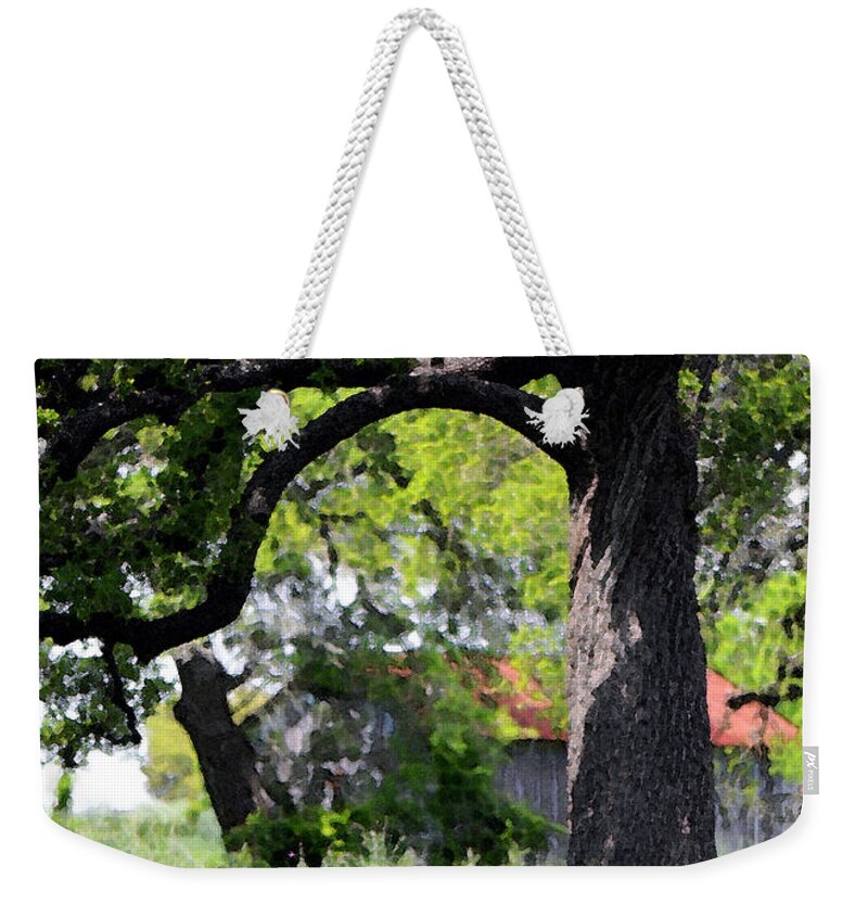 Texas Landscape Weekender Tote Bag featuring the photograph Old Texas Oak Tree by Connie Fox