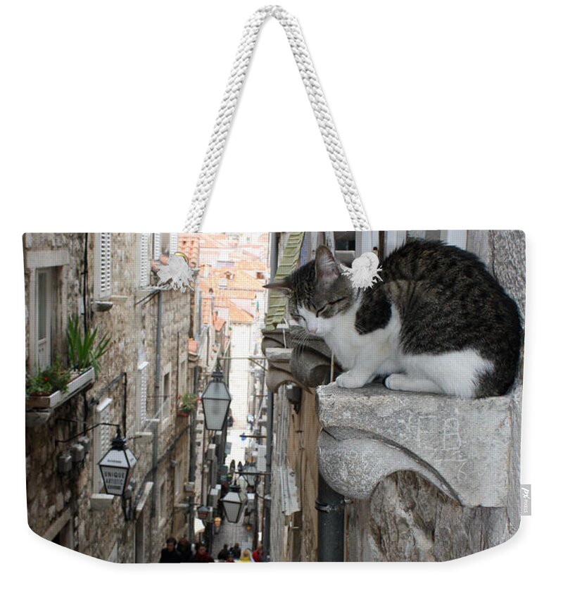 Old Town Weekender Tote Bag featuring the photograph Old Town Alley Cat by David Nicholls