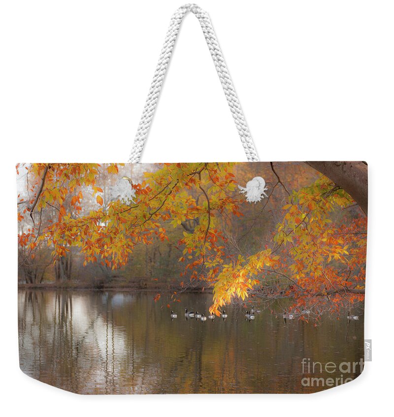 Pond Weekender Tote Bag featuring the photograph Peavefull Pond Reflections by Dale Powell