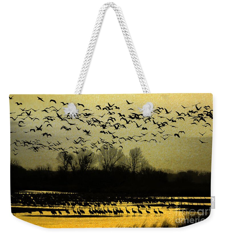 Sandhill Cranes Weekender Tote Bag featuring the photograph On Golden Pond by Elizabeth Winter