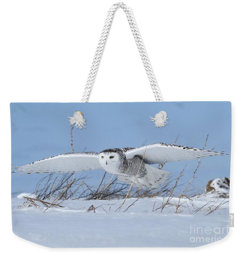 Wildlife Photography Weekender Tote Bag featuring the photograph On Patrol by Heather King