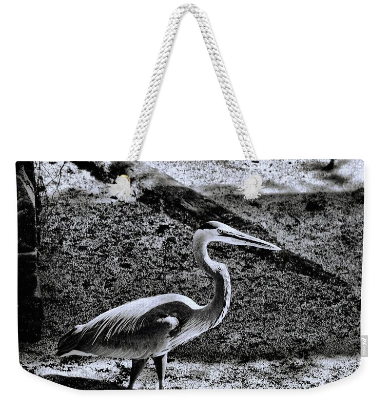Animals Weekender Tote Bag featuring the photograph On Patrol by Robert McCubbin