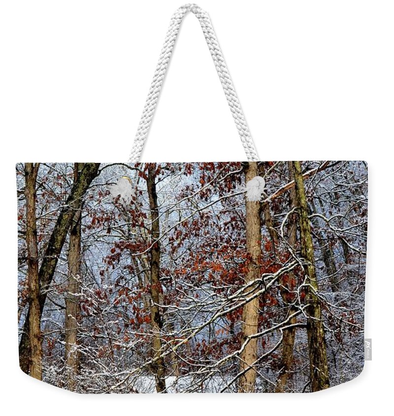Winter Weekender Tote Bag featuring the photograph On Such A Winter's Day by Deena Stoddard