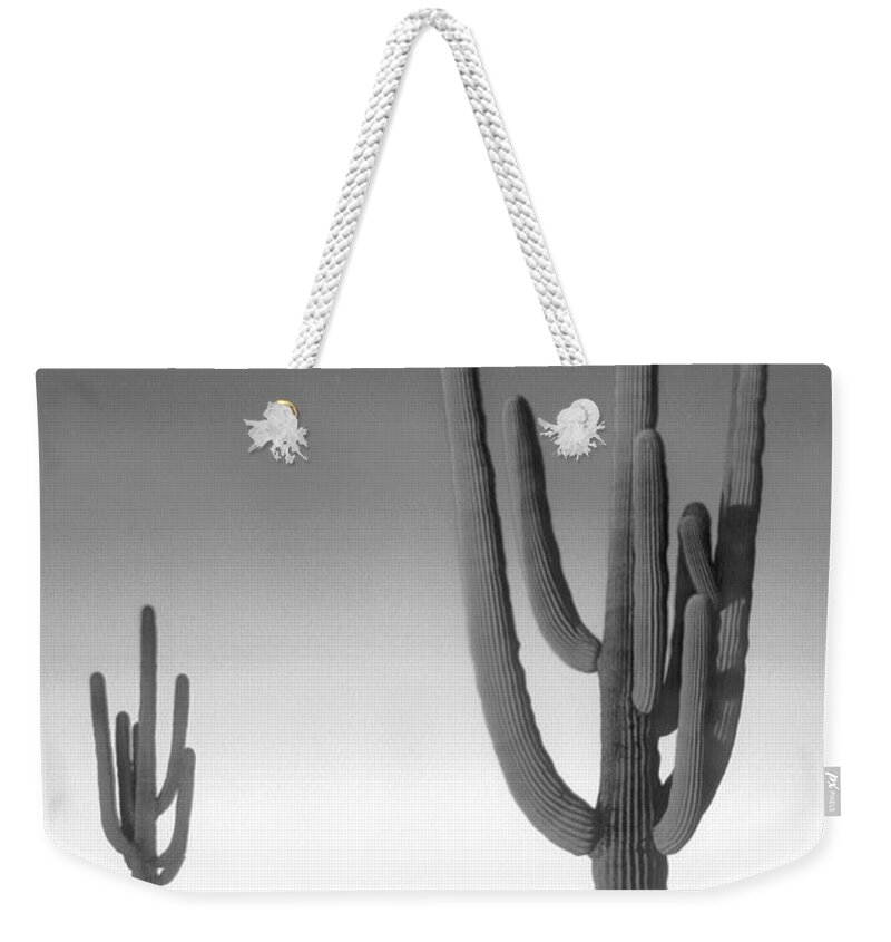 Arizona Landscape Weekender Tote Bag featuring the photograph On the Border by Mike McGlothlen