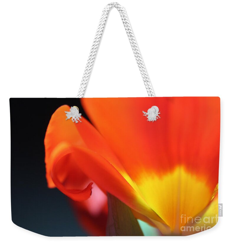 Tulip Weekender Tote Bag featuring the photograph On the Edge by Stacey Zimmerman