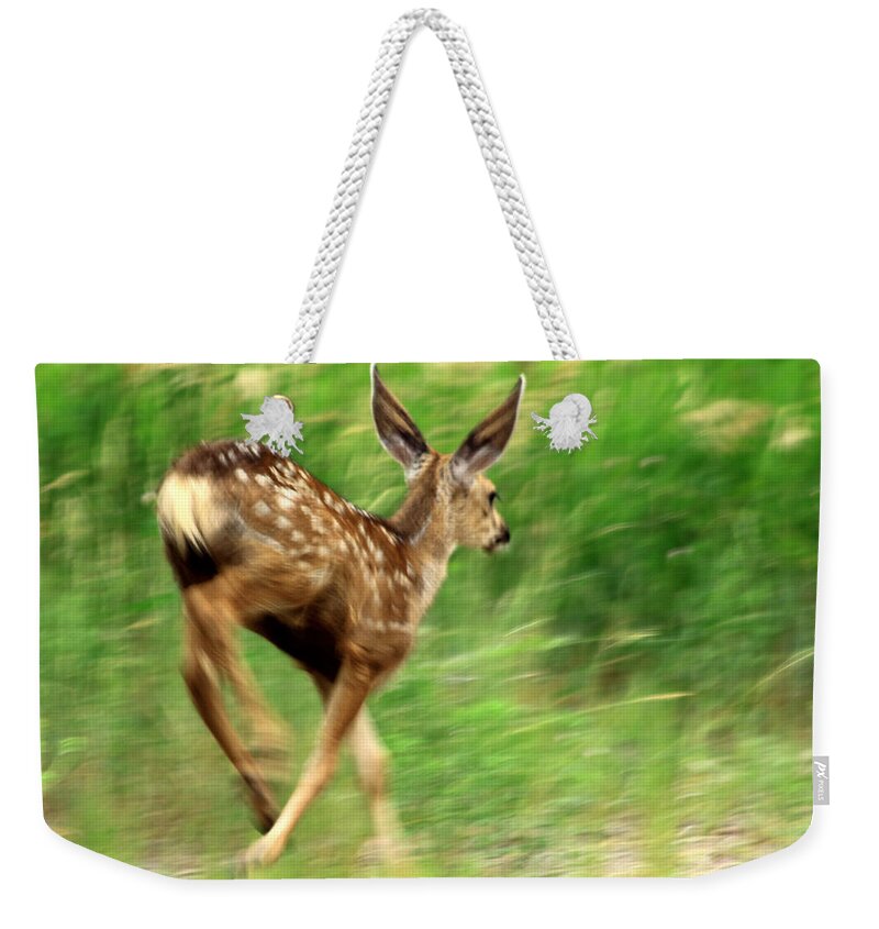 Deer Weekender Tote Bag featuring the photograph On The Move by Shane Bechler