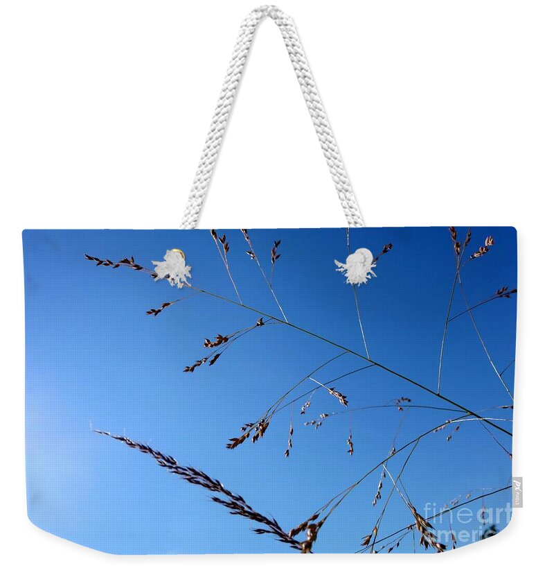 Flowing Weekender Tote Bag featuring the photograph On The Prairie #7 by Jacqueline Athmann