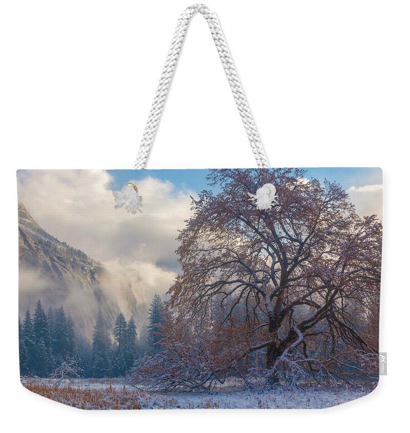 Landscape Weekender Tote Bag featuring the photograph One Beauty by Jonathan Nguyen