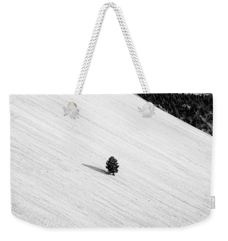 Tree Weekender Tote Bag featuring the photograph One by Cat Connor