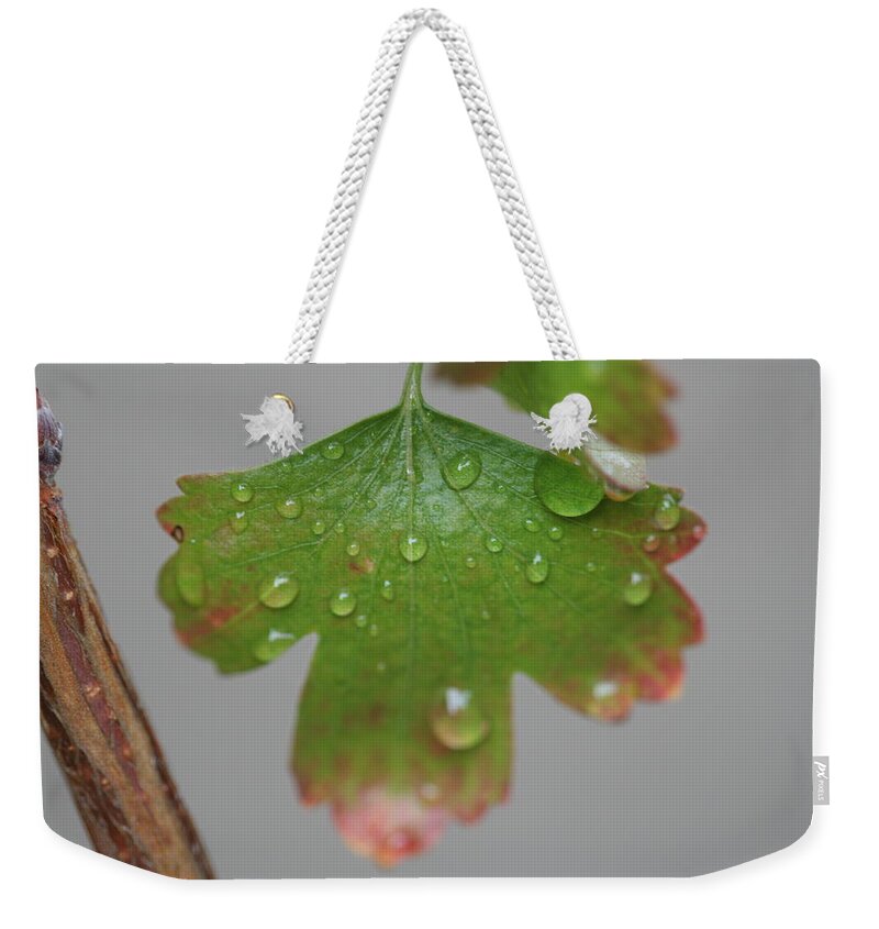 Leaf Weekender Tote Bag featuring the photograph Rain drops on Leaf by Valerie Collins