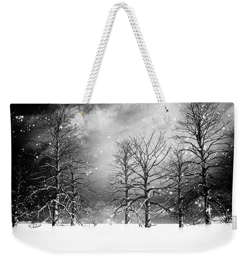 Winter Weekender Tote Bag featuring the photograph One Night In November by Bob Orsillo