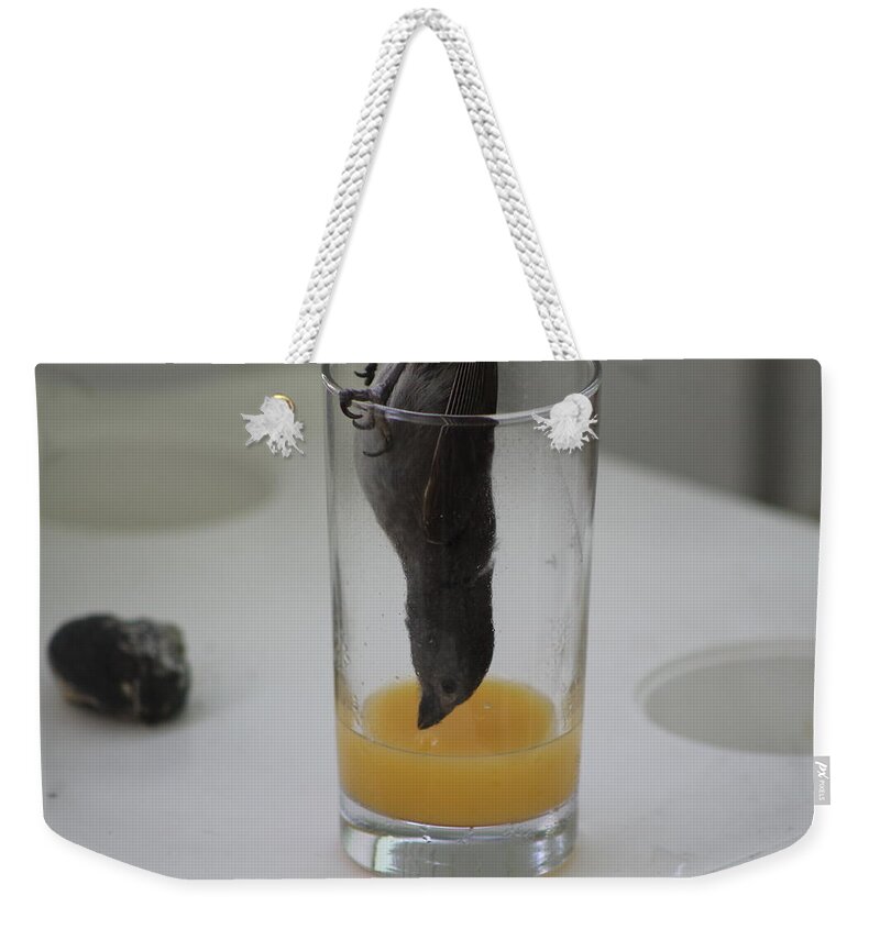 Orange Juice Weekender Tote Bag featuring the photograph One Thirsty Bird by Catie Canetti