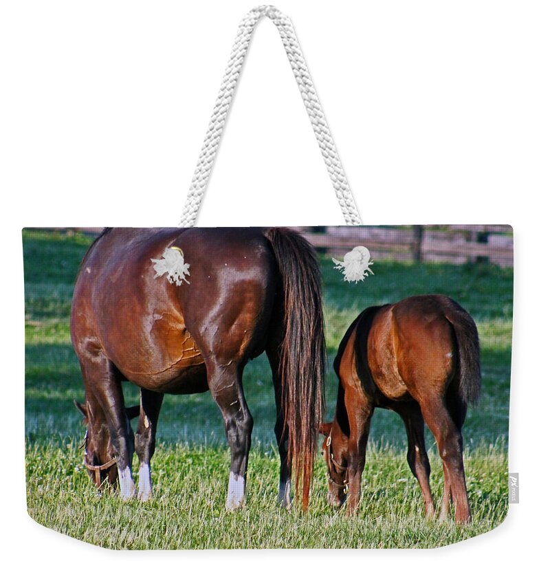 Horse Weekender Tote Bag featuring the photograph One two by Lily K