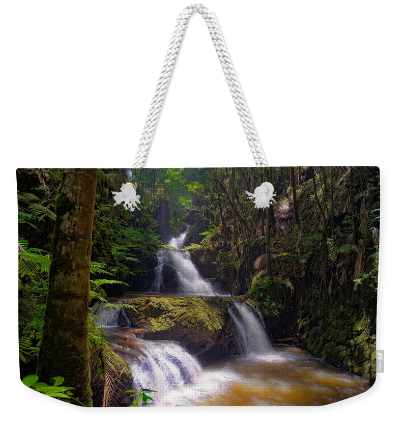 Waterfall Weekender Tote Bag featuring the photograph Onomea Falls #1 by Jim Thompson