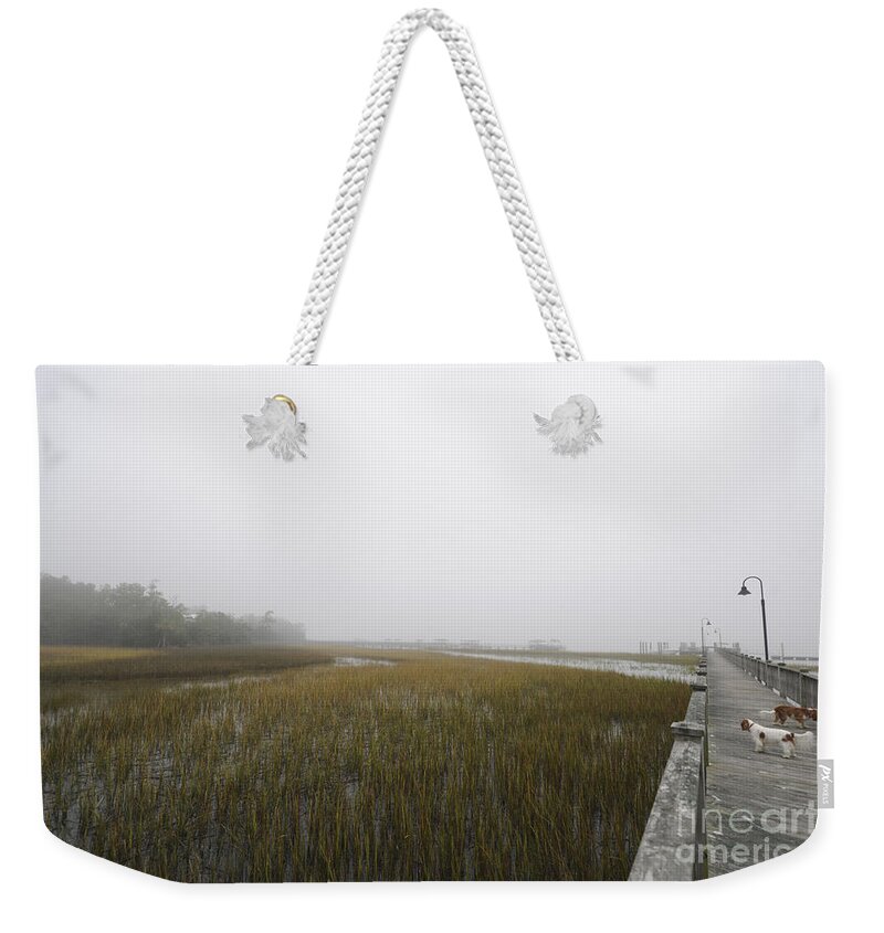 Fog Weekender Tote Bag featuring the photograph Opaque Foggy Morning by Dale Powell